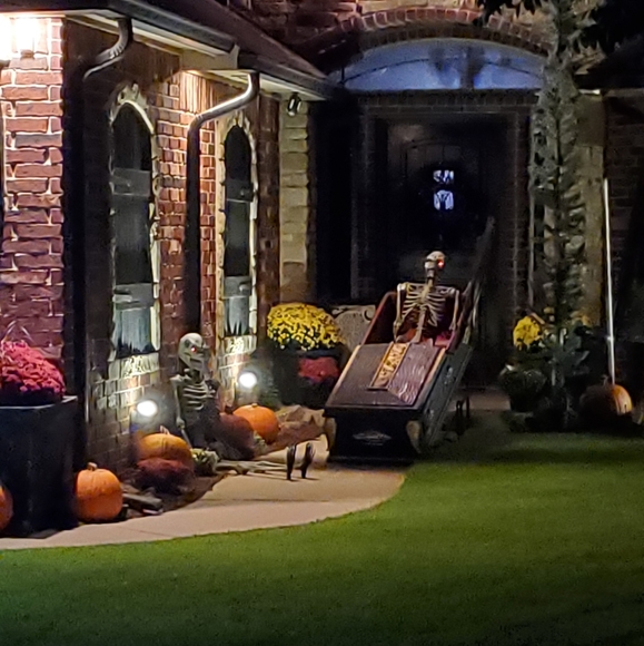 Meet your Posher, Tina - Picture 4 of 6